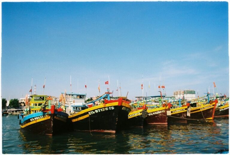 industry report with identifiers