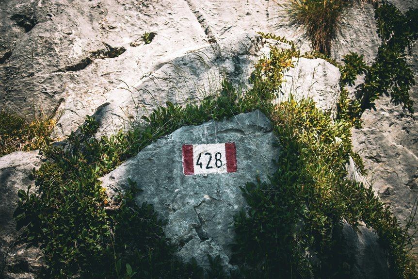 sector direction brief details